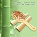 Natural Bamboo Brush, Premium Scalp Massage Hair Brush for Hair Growth, Wooden Brush for Women and Men, Suitable for Curly, Straight, Long, and Short Hair