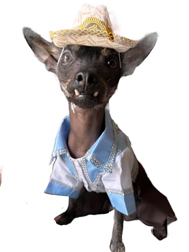 Disfraz Vaquero para Perro Talla XL