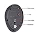 EIGIIS Wireless Ergonomic Mouse 2.4G High Precision Vertical Optical Mouse (Black)
