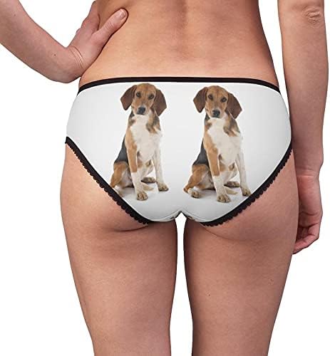 DogsMakeMeHappy Beagle Harrier Panties, Beagle Harrier Underwear, Briefs, Cotton Briefs, Funny Underwear, Panties For Women