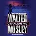 Cinnamon Kiss: A Novel