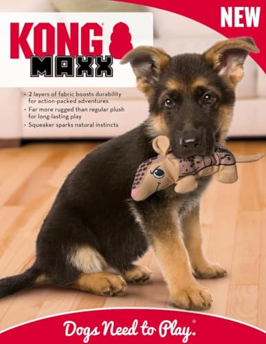 Kong Maxx Ballistic Hundespielzeug, 2-lagig, robust, Schildkröte, Größe M