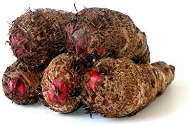2 Lb Organic Yautia Lila, Rhizome Xanthosoma by Prorganics