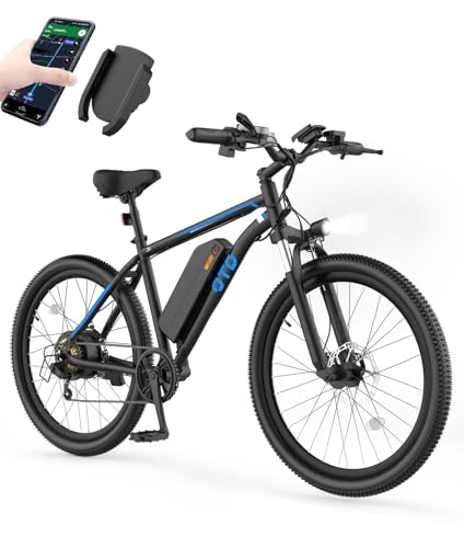 Baicycle DS1 High-Speed Electric Bike