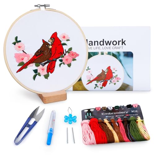 Image of Hummingbird and Flower Embroidery Kit for Adults, DIY Embroidery Kits with Original Design Patterns, Learn to Embroider Kit Beginner with Needles and Thread, Clear Instructions and Video (BEB003)