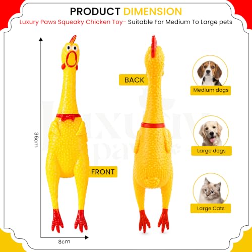 Image of Hen Chicken Squeaky Dog Toy - Large Pack of 1