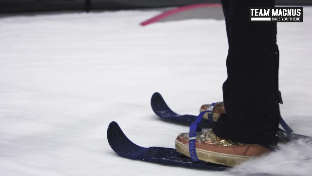 Cage Pour Chien En Fil étallique Robuste, Facile à Installer, Cage