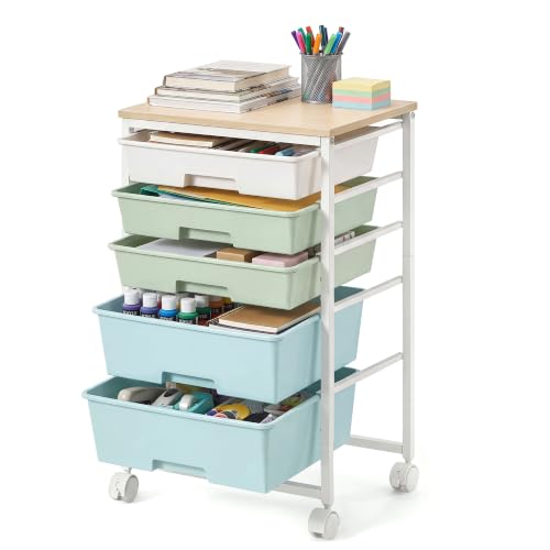VASAGLE 5 Drawer Rolling Cart
