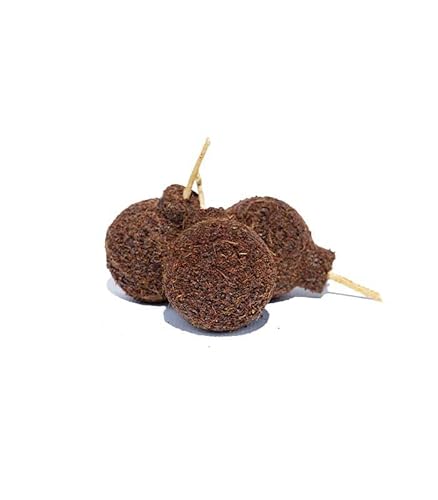 TORELLO 40 kg reine Steakkohle Quebracho Blacno Premium Qualitycarbon - perfekte Restaurantqualität