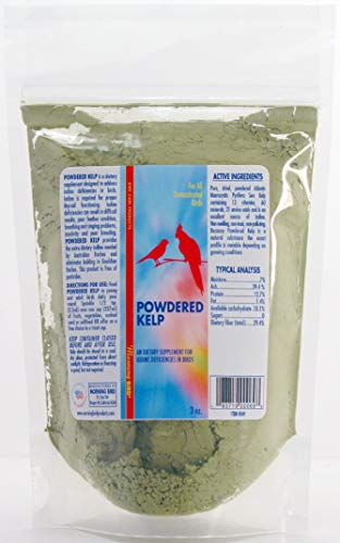 Best Iodine Supplement For Birds