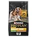 Purina Pro Plan Dry Dog Food, Bright Mind, Adult 7+ Small Breed Formula 16-Pound Bag, Pack of 1