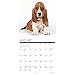 Just Basset Hound Puppies 2022 Wall Calendar (Dog Breed)