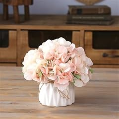 Spring Hydrangea,pink