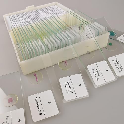 Image of 30 Pcs Microscope Slides Prepared Biology Specimen Lab Sample with Insects Plants Science Learning Home School