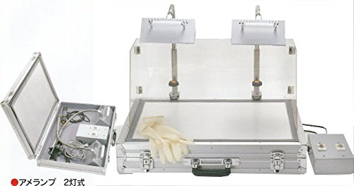 Amazon | 2灯式ケース入アメランプ専用ハロゲン球 | GrandChef(グラン