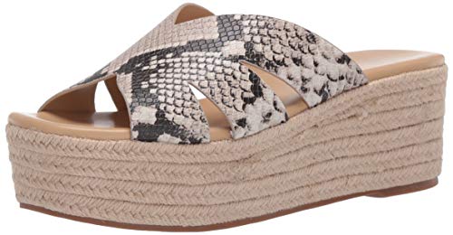 A Treatise On Physical Geography: Comprising Hydrology, Geognosy, Geology, Meteorology, Botany, Zoology, and Anthropology Cover