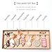 MANON ROSA Cat Toy Set 7PCS Interactive Teaser Wands with Feathers for Bored Indoor Adult Cats and Enrichment for Small Medium Large Kittens - Catch, Chew, and Exercise Fun