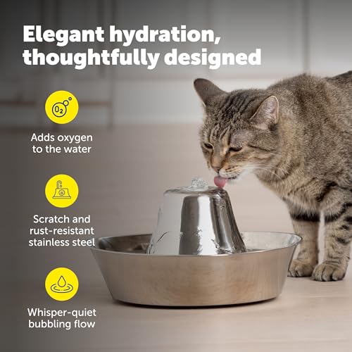Image of Seaside Stainless Cat & Dog Fountain with 4-Pack of Carbon Filters | 60 Oz Capacity with Extra Carbon Filters, Triple-Filter Operation, 360-Degree Flow, Rust-Resistant Stainless Steel