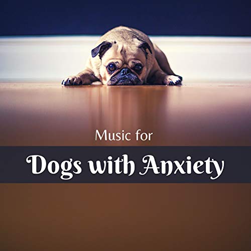 Music for Dogs with Anxiety Separation Anxiety Relief