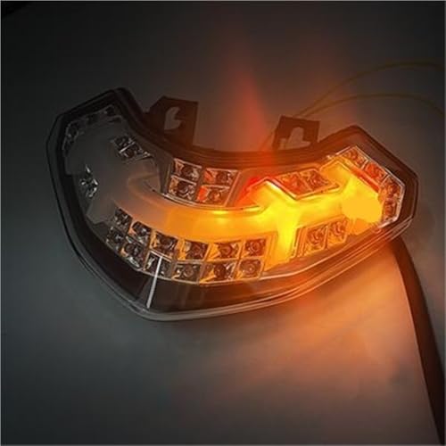 Luz trasera para rutas nocturnas en moto Devil 1200S con intermitentes 5