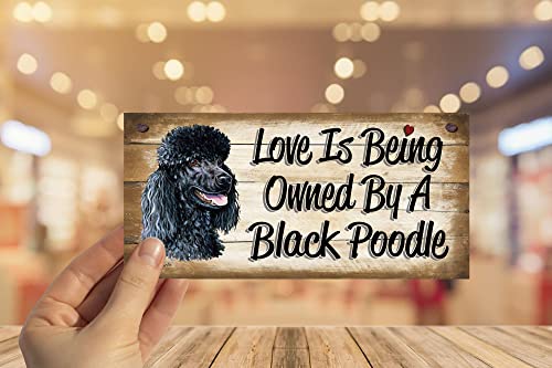 Compleanno occasione barboncino nero in legno