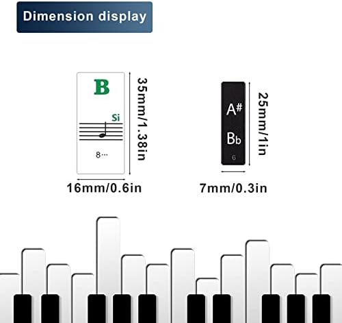 AIEX Piano Keyboard Stickers for 88/61/54/49 Key, Piano Notes Stickers Removable and Clear Piano Keyboard Letters for Beginners Kids (Colorful) 2 41on7TKbrYL. AC