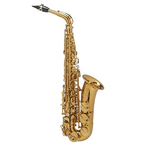 Selmer Supreme Alto
