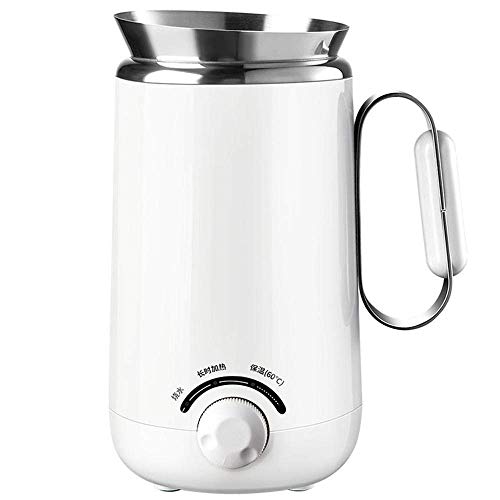 Bouilloire électrique de voyage mini capacité blanche en acier inoxydable