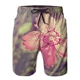 0 Nano Hone Nano Hone Plate 25 Micron