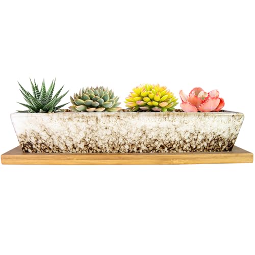 ARTKETTY Succulent Pots, 9.8 Inch Ceramic Succulent Planters with Drainage Small Bonsai Pot with Bamboo Tray, Mini Cactus Flower Planter Pot Shallow Rectangular Window Planters for Indoor Plants