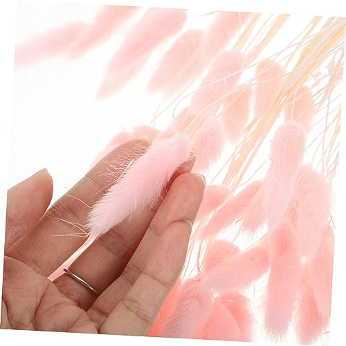 120 pastos secos Bunny Tail para arreglos florales miniatura 7