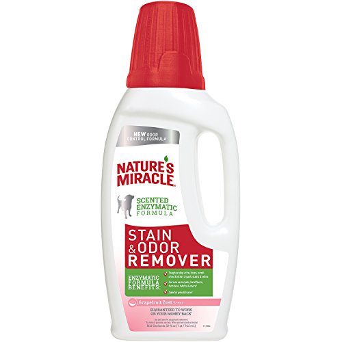 Nature’s Miracle P-98109 Stain and Odor Remover Dog , Odor Control Formula, Grapefruit Scent Pour Bottle,12/32 oz.