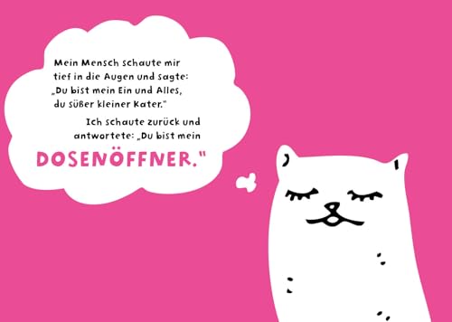 Hunde haben Besitzer, Katzen haben Personal: Was deine Katze wirklich über dich denkt