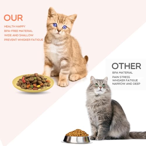 XINGNA 12 Stück Katzennapf,Katzenschüssel,Katzennapf Flach,Fressnapf Katze Futternapf,Runden Katzenteller,Fressnapf Katze,Bunt Katzenfutter Napfset,Cat Plate für Kätzchen und kurzbeinige Katzen