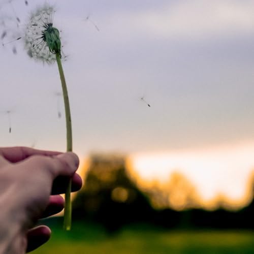 1 Night Of White Noise Quiet Peace by White Noise Therapy on Amazon