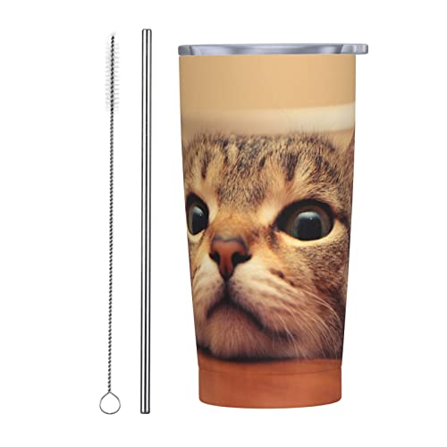 킢 L Xg[&Xg[uVt }OJbv R[q[Jbv 600ML RrjJbv ^u[ XeX ۗ ۉ ԗp Wt ^  e  Aj v[g ju23