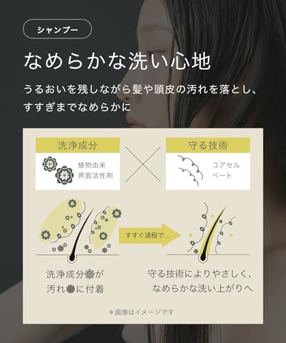 BOTANIST SANTAL サンタル リペア オイルイン シャンプー トリートメント セット の商品画像 12