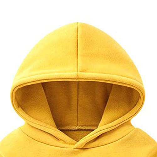 Toddler Hoodies Cute Unisex Solid Color Hooded Sweatshirt Girls Boys Fall Winter Casual Warm Soft Pullover Sweater3