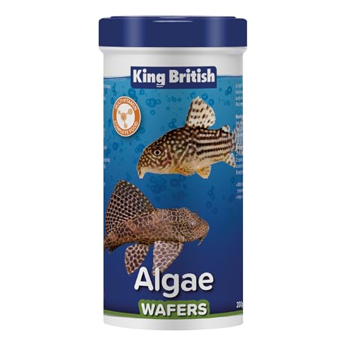 King British Algae Wafers 200g Multi-Vitamin Complete Sinking Fish Food For Bottom Feeding Catfish Plecostomus & Algae Eating Fish Natural Ingredients