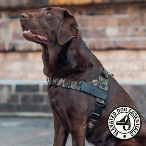 Image of Dog Friendly Co. Dog Harness for Medium Sized Dogs (Green Camo, Medium)