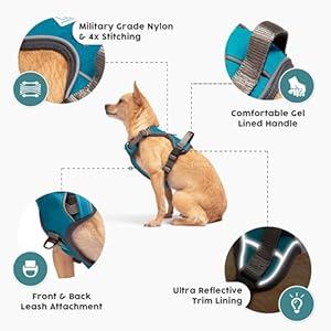 Embark-Adventure-Dog-Harness-No-Pull-Dog-Harness-with-2-Leash-Clips-Dog-Harness-for-Large-Dogs-No-Pull-Front-Back-with-Control-Handle-Adjustable-Blue-Dog-Vest-Soft-Padded-for-Comfort - Cucciolini Doodles   Embark-Adventure-Dog-Harness-No-Pull-Dog-Harness-with-2-Leash-Clips-Dog-Harness-for-Large-Dogs-No-Pull-Front-Back-with-Control-Handle-Adjustable-Blue-Dog-Vest-Soft-Padded-for-Comfort