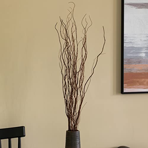 Brown Natural Decorative Dry Branches Authentic Willow Birch Sticks for
