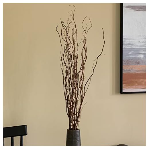 Authentic Willow Birch Decorative Sticks