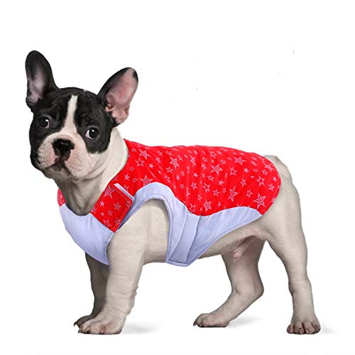 Best Coats for French Bulldogs Sir Doggie
