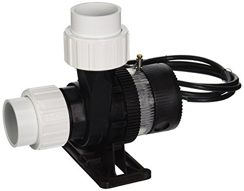 LAING E14-NSTN2W-10 Spa Circulation Pump