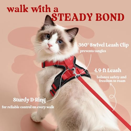Image of rabbitgoo Cat Harness and Leash Set, Escape Proof Vest, Red | Soft Breathable Mesh, Easy Adjustable Fit, Snap Buckles, Sturdy Clip, Reflective Strips, for Medium to Large Cats Walks, M