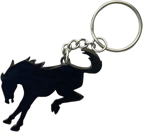 RCCT Bronco Sport Accessories - Llavero compatible con Ford Big Band 2021 2022, acero inoxidable 304, superficie de color titanio