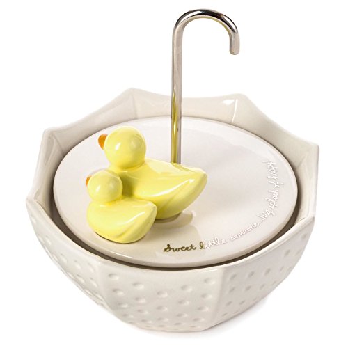 Best Music Box With Ducks