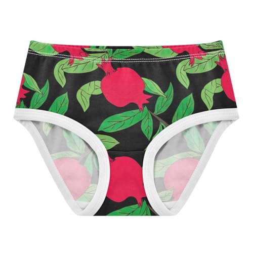Animal Toddler Underwear Floral 2t Cotton Panties Little Girl Red Pomegranates Green Leaves Dark Briefs Girls Undies