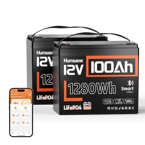 Image of 2 Pack 12V 100Ah LiFePO4 Lithium Battery with Bluetooth (Group 24) | 15000+ Deep Cycles, Built-in 100A BMS & Low-Temp Protection, Max. 1280Wh Energy for RV /Boat /Off-Grid /Solar System /Home Backup